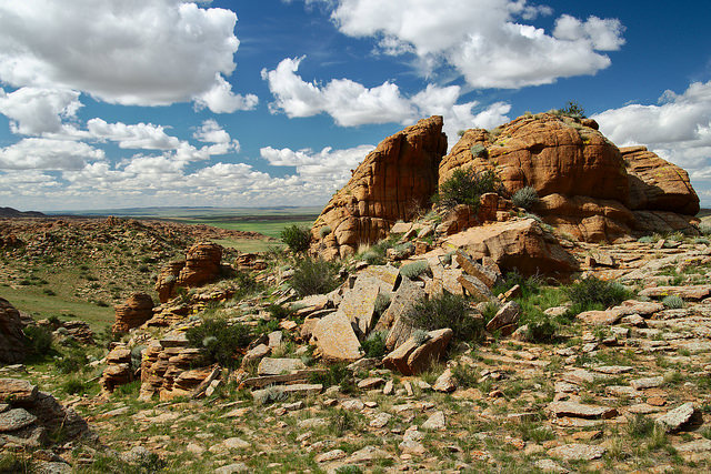 La bellezza della natura in Mongolia. Foto di Rob Oo