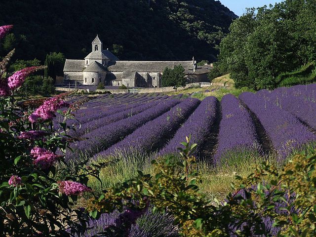 Abbazia di Sénanque – Foto Wikimedia Commons