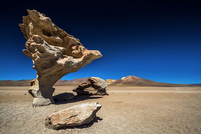 Árbol de Piedra – Foto di Marco Nürnberger