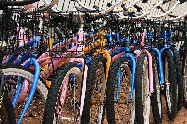 Ferrara: una città da visitare pedalando