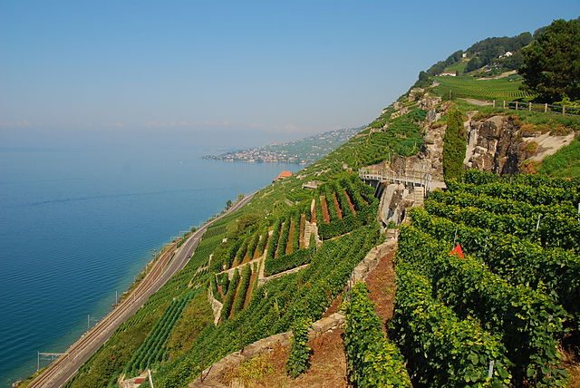 Lavaux – Foto Wikimedia Commons