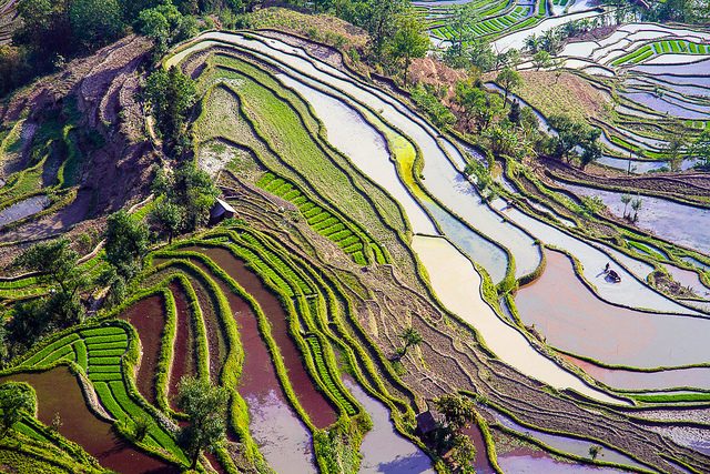 Yuanyang – Foto di Hoang Giang Hai