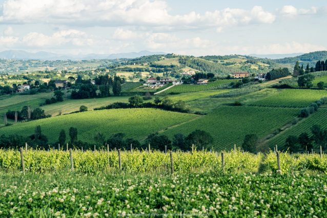 Montefalco. Foro di Leonardo Angelino