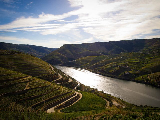 Valle del Douro – Foto di Guillermo Torres