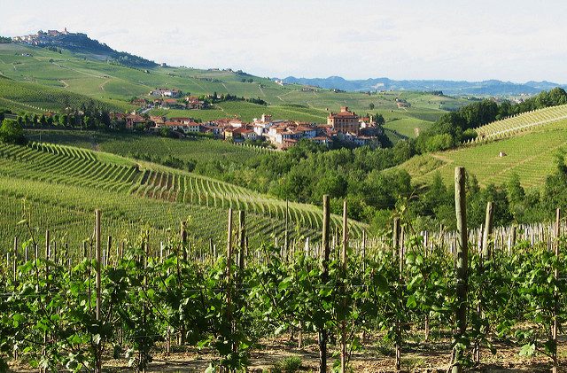 Barolo. Foto di Roberto Ferrito