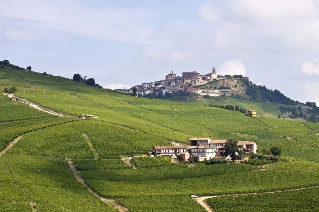 Le Langhe. Foto di Francesca Cappa