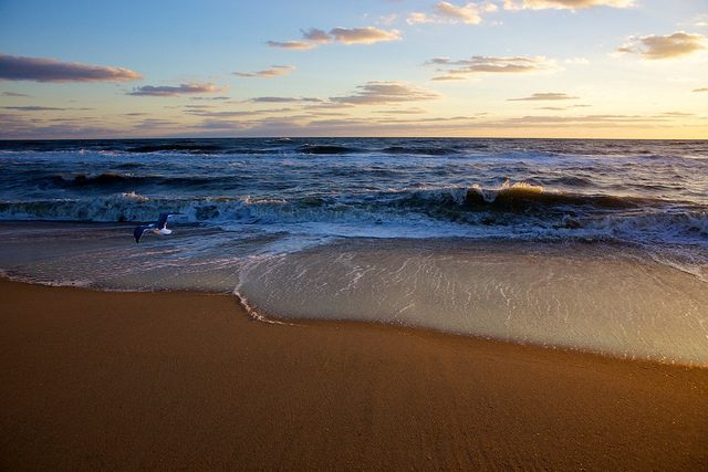 Outer Banks. Foto di Keren Blaha