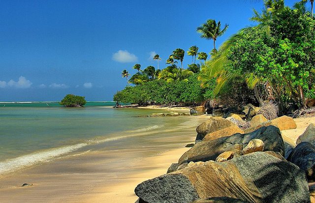 Porto Rico. Foto di Ron Reing