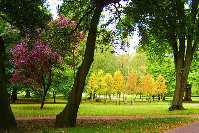Panoramica del Bute Park di Cardiff (Wikipedia).