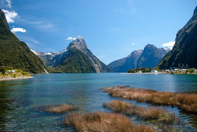 Milford Sound – Foto di Jocelyn Kinghorn