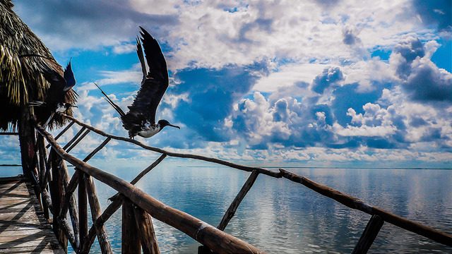 Holbox. Foto di Vincent Stefan
