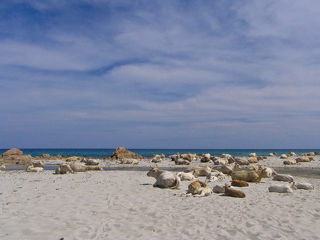 Spiaggia di Berchida. Foto di Aurelio Candido