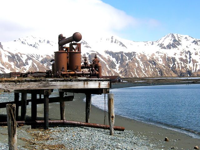 Attu – Foto Wikimedia Commons