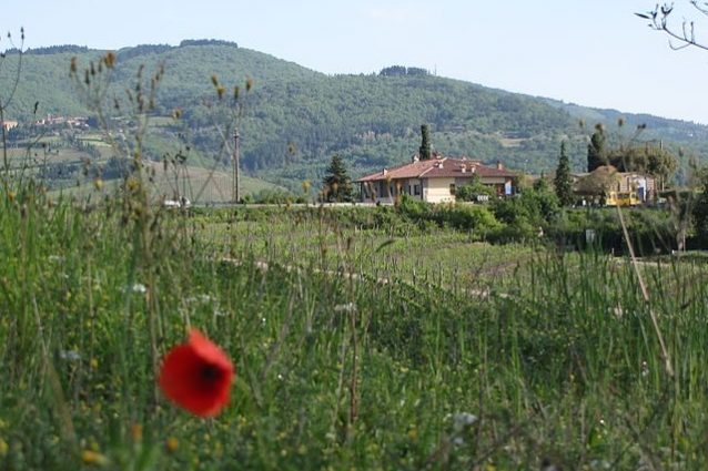 Radda in Chianti (Foto Wikimedia Commons)