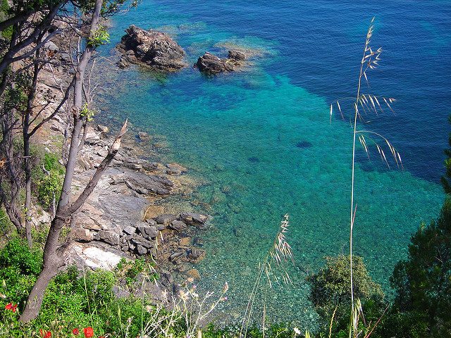 Isola d’Elba – Foto di Roberto