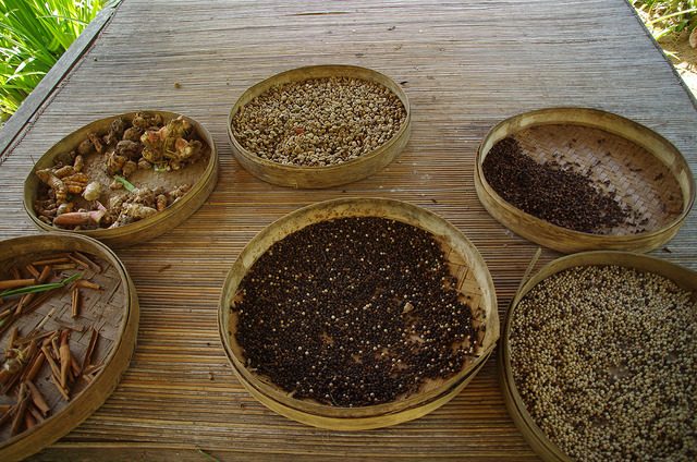 Kopi Luwak