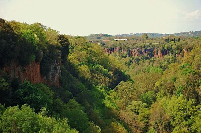 Valloni all’interno del Parco regionale Marturanum – Foto Wikimedia Commons