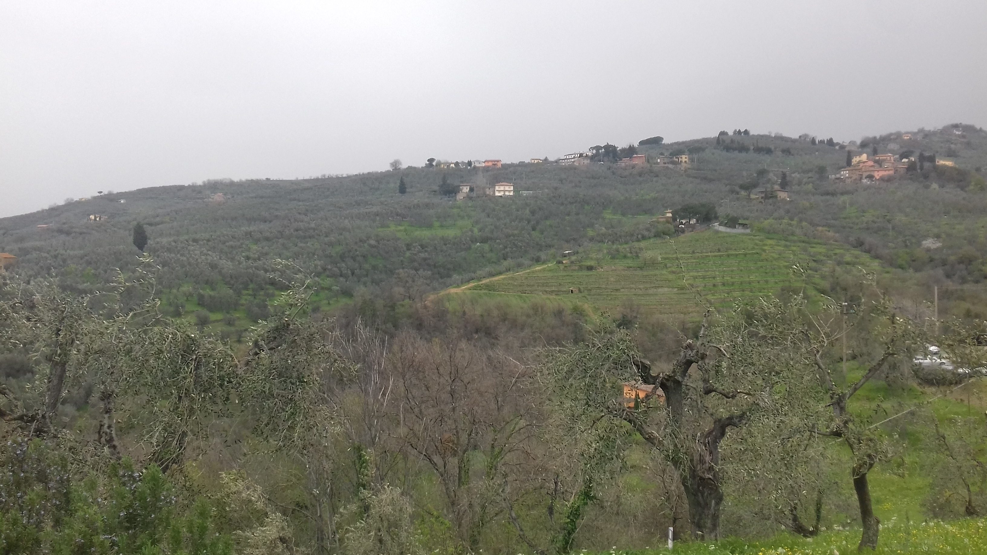 Il paesaggio dalla "strada verde" che conduce da Vinci ad Anchiano