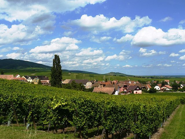 Hunawihr – Foto Wikimedia Commons