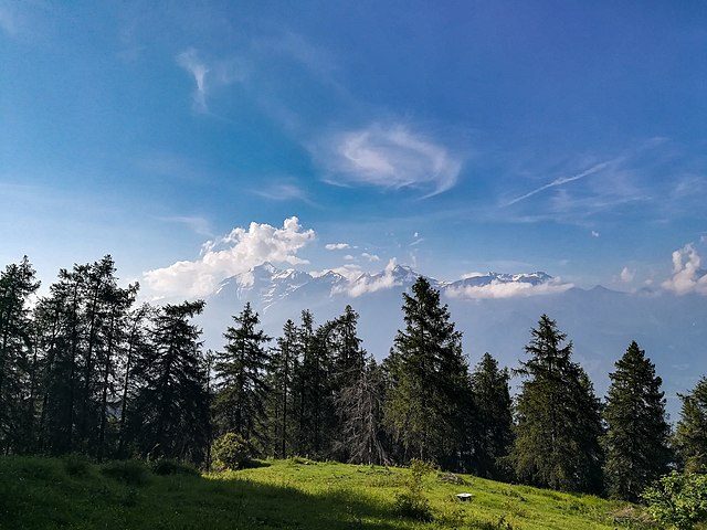 Parco Naturale Orsiera–Rocciavrè – Foto Wikimedia Commons
