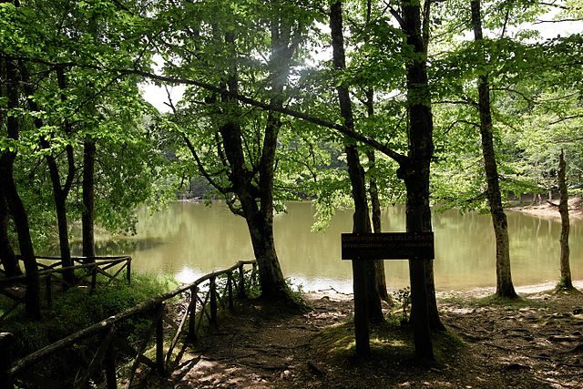 Foresta Umbra – Foto Wikimedia Commons