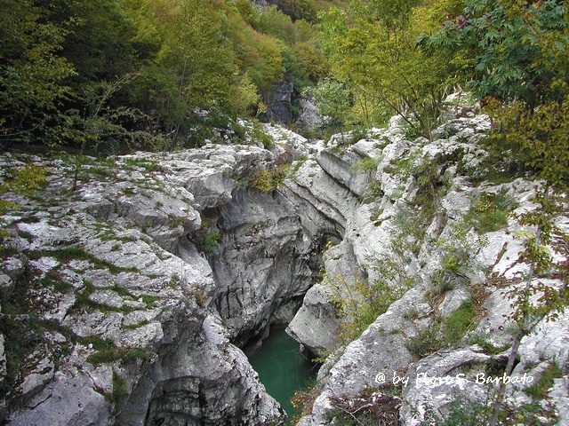 Forre di Lavello