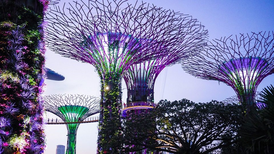 Gardens by the Bay