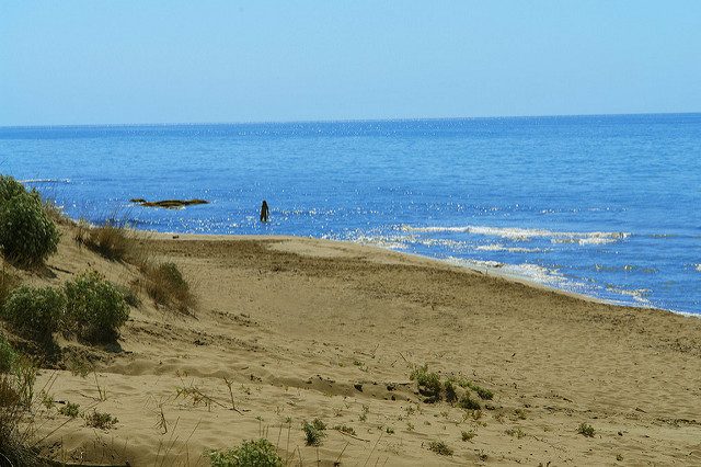 Halikounas