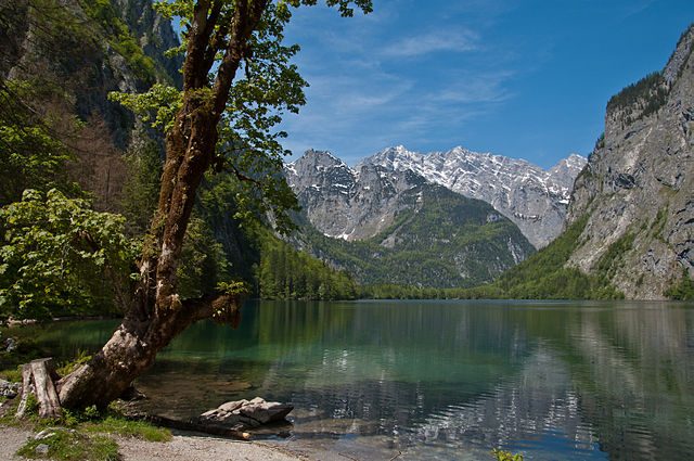 Obersee – Foto Wikimedia Commons