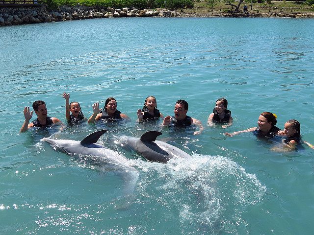 Dolphin Cove