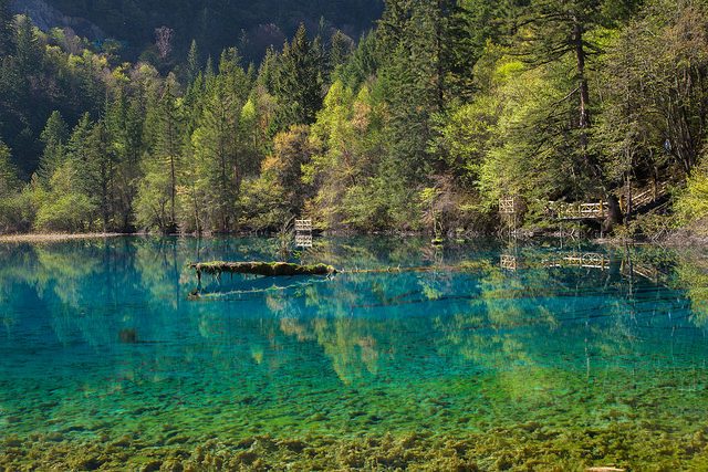 Lago dei Cinque Fiori – Foto di Jean–Marie Hullot