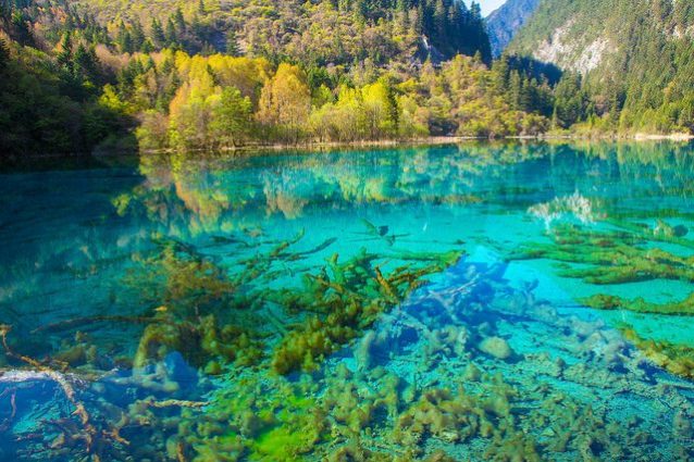 Lago dei Cinque Fiori – Foto di Jean–Marie Hullot