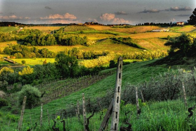 Colline del Chianti