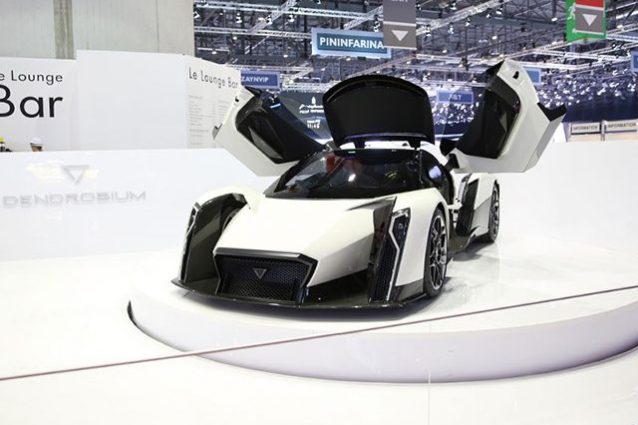 Dendrobium Concept