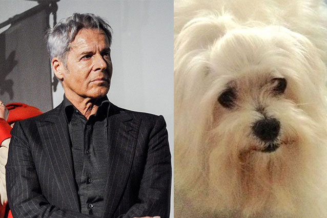Claudio Baglioni piange la morte del cane: 'Ho il senso di colpa di essere sopravvissuto'