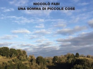 Niccolò Fabi: la perfezione pop di “Una somma di piccole cose”