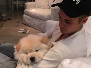Justin Bieber apre il profilo Instagram del suo cane (ma continua a tenere chiuso il suo)
