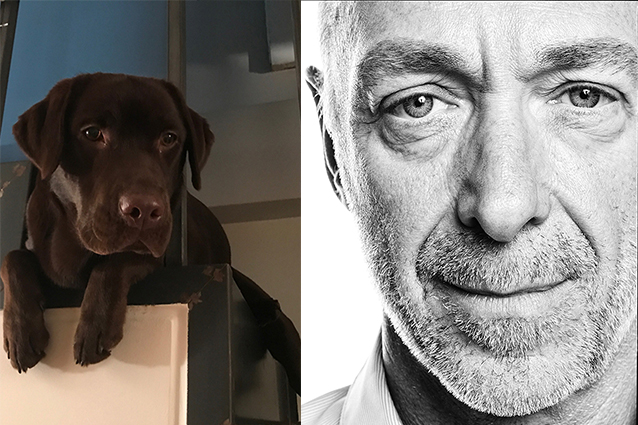 Morta Bruna, il cane di Linus: "Ci ha riempito la vita, sarebbe stato il suo primo Natale"