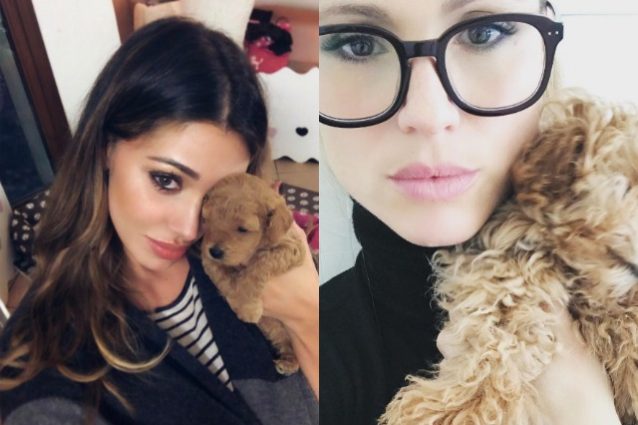 Michelle Hunziker regala un cucciolo di cane a Belén Rodriguez