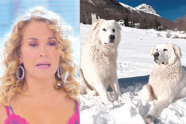 Barbara D'Urso prega per l'Hotel Rigopiano: "Era il mio nido, il mio rifugio"