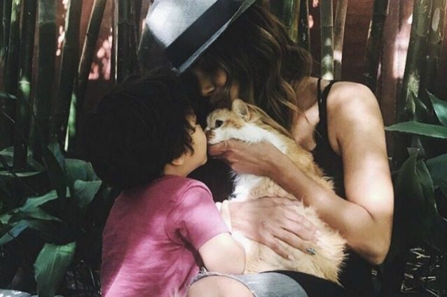 Halle Berry piange la morte del suo gatto: "Il mio cuore si è spezzato, aveva un cancro al cervello"