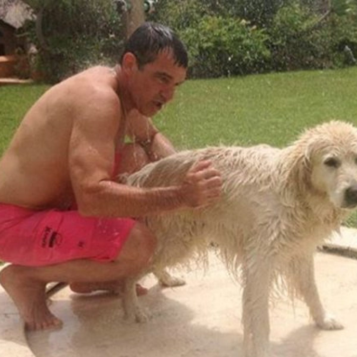 è Morto Boots Il Cane Di Antonio Banderas Se Ne Va Una Parte