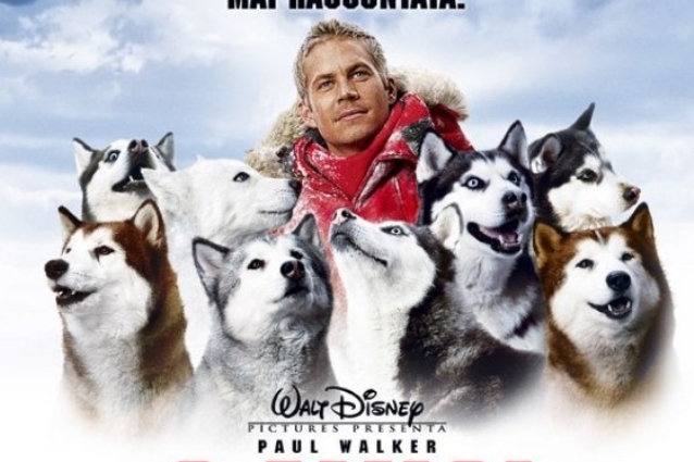 Rai1 vince la serata tv di Santo Stefano con Paul Walker e il film "8 amici da salvare"