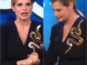 Il serpente di Simona Ventura non piace al pubblico