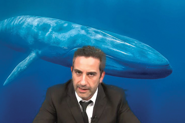 Blue Whale, parlano Le Iene: "Ci scusiamo per l'errore ma vogliamo prevenire, non istigare"