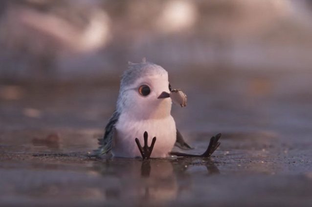 Piper vince l'Oscar come miglior corto d'animazione