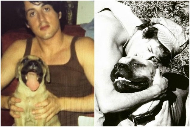 Sylvester Stallone: