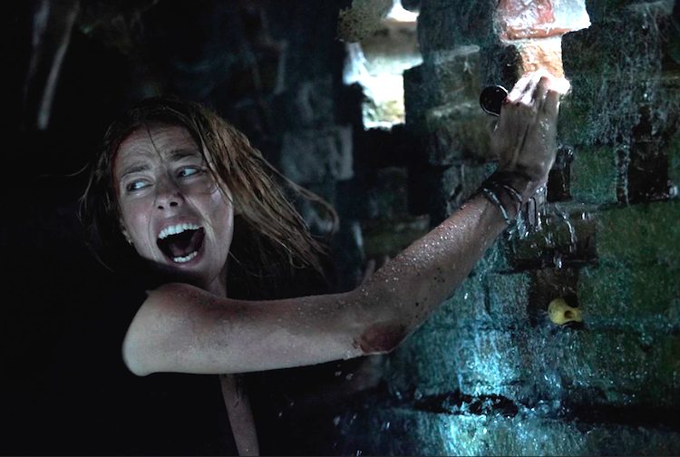 Film D Horreur Scary Movie Est Une Parodie Esce Crawl – Intrappolati, il thriller horror di Alexandre Aja tra
