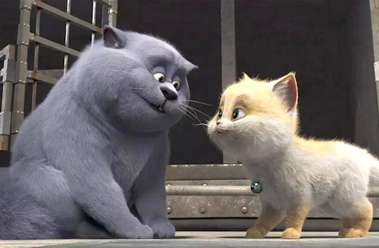 большой кошачий побег мама шустрика. большой кошачий побег шустрик. включи котенок побег. включи котенок побег. включи котенок побег.