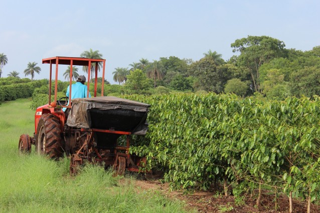 finanziamenti a fondo perduto agricoltura